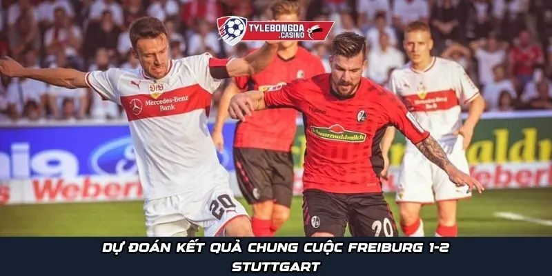 Dự đoán kết quả chung cuộc Freiburg  1-2 Stuttgart