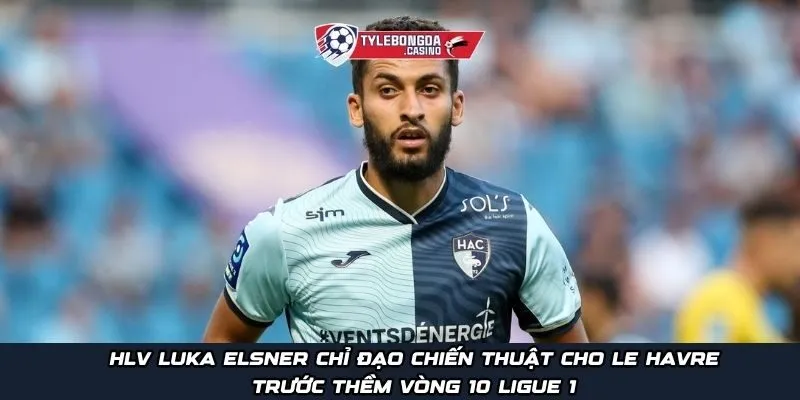 HLV Luka Elsner chỉ đạo chiến thuật cho Le Havre trước thềm vòng 10 Ligue 1
